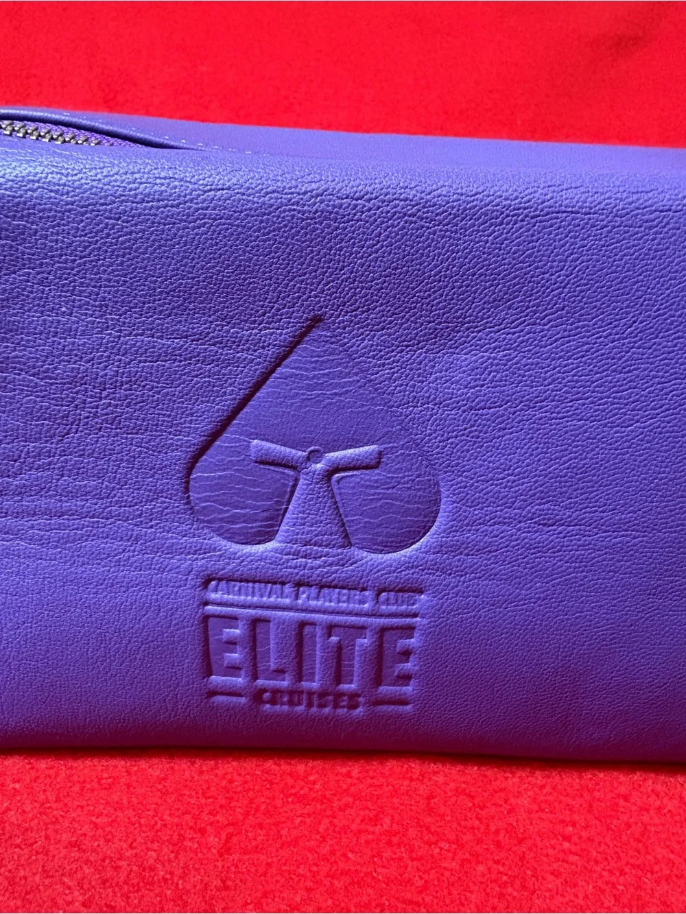 NWT Carnival Players Club Elite Purple Genuine Leather Cosmetic Travel Bag